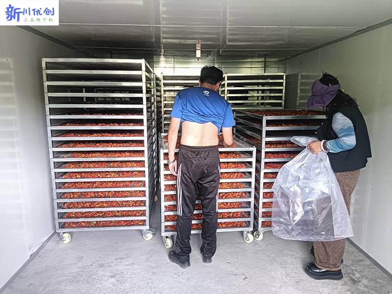 阿壩用戶訂購我廠一套工業(yè)辣椒烘干房